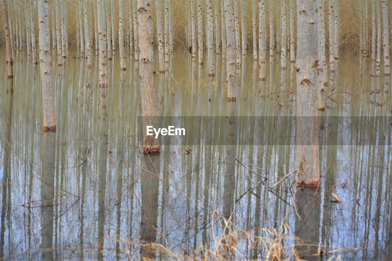 CLOSE-UP OF WATER IN SHALLOW