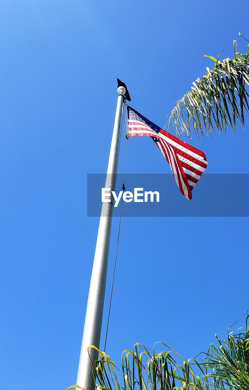 Crow atop a flag pole.