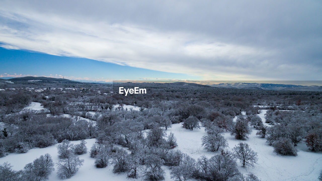 SCENIC VIEW OF SNOW COVERED LANDSCAPE