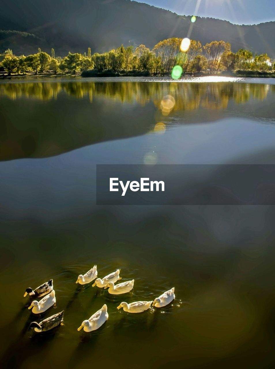 HIGH ANGLE VIEW OF FLOATING ON WATER