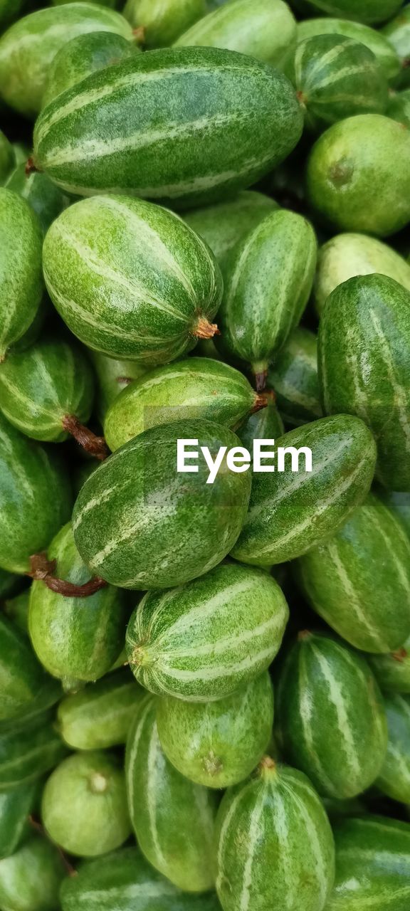 Full frame shot of pointed gourd 