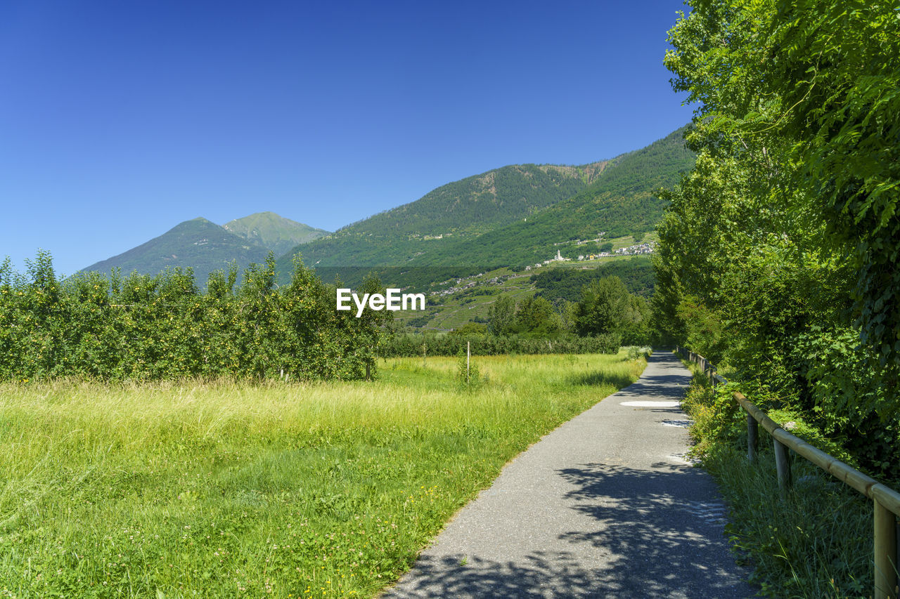 SCENIC VIEW OF ROAD AMIDST FIELD AGAINST CLEAR SKY