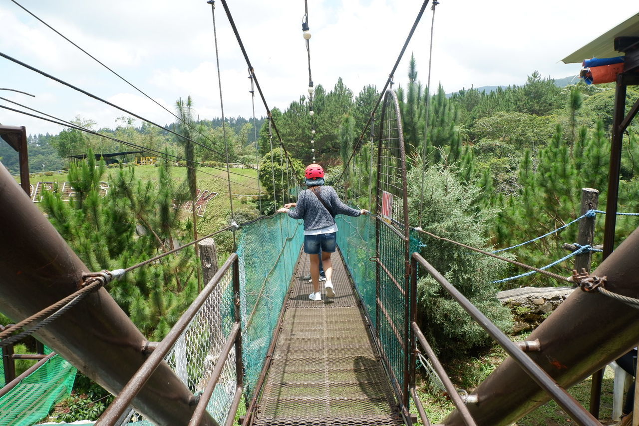 Rear view of woman walking on footbridge in forest