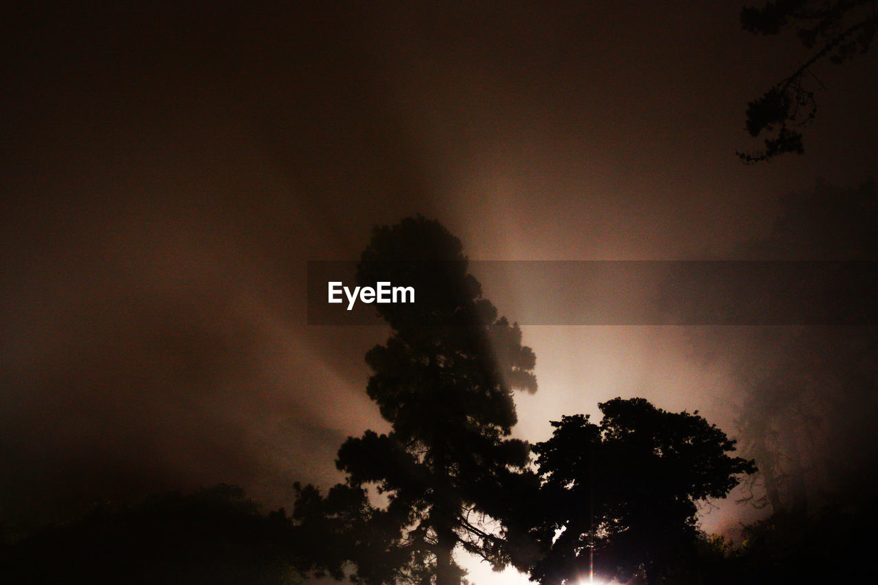 Low angle view of silhouette trees against sky at night