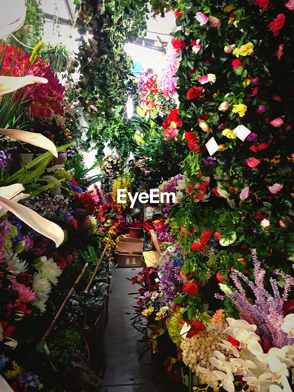 High angle view of flower bouquets at florist