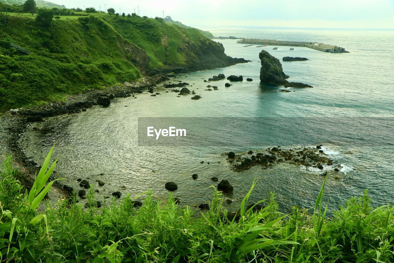 water, sea, land, beauty in nature, coast, scenics - nature, nature, plant, body of water, beach, shore, sky, tranquility, tranquil scene, cliff, rock, no people, green, day, terrain, grass, coastline, bay, non-urban scene, outdoors, ocean, idyllic, environment, horizon over water, landscape, tree, travel destinations, travel, cloud, high angle view, horizon