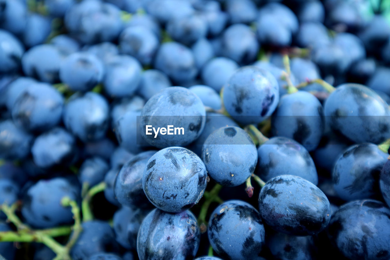 FULL FRAME SHOT OF WET BLUE FRUIT