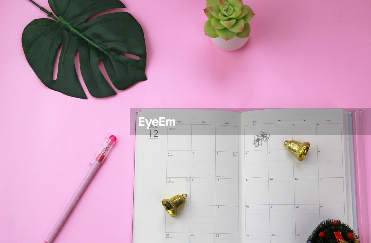 Directly above shot of pen by diary and bells with plant against pink background