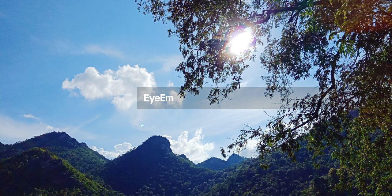 LOW ANGLE VIEW OF TREE MOUNTAINS AGAINST SKY