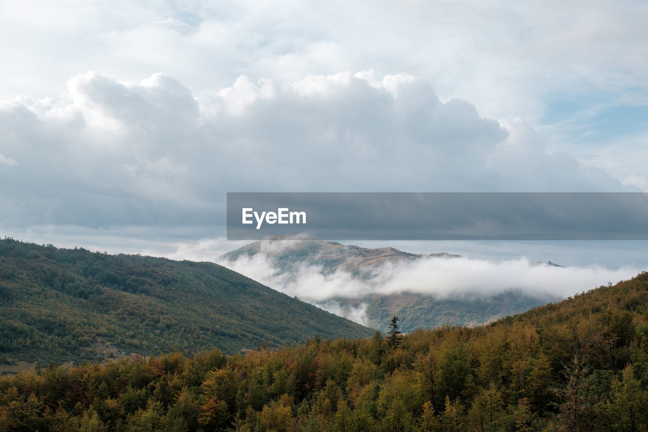 SCENIC VIEW OF LAND AGAINST SKY