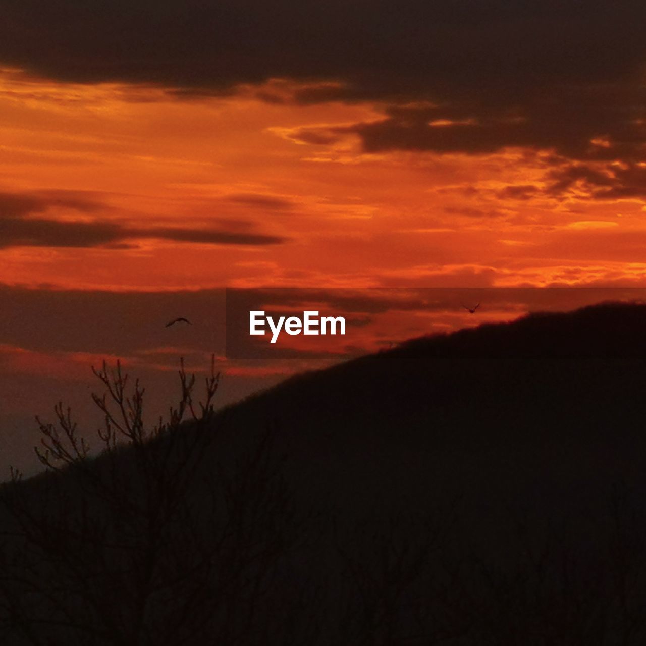 SCENIC VIEW OF SILHOUETTE LANDSCAPE AGAINST ROMANTIC SKY DURING SUNSET