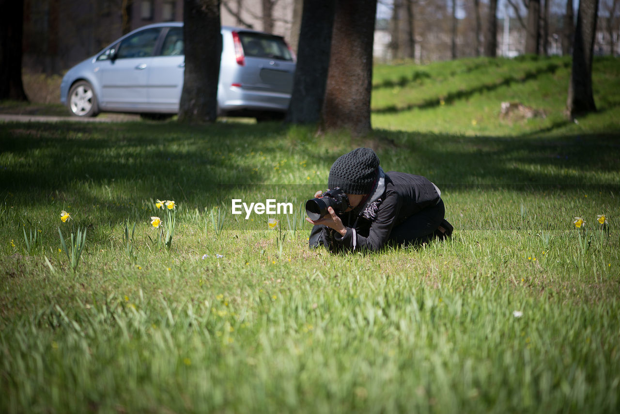 Woman photographing daffodil