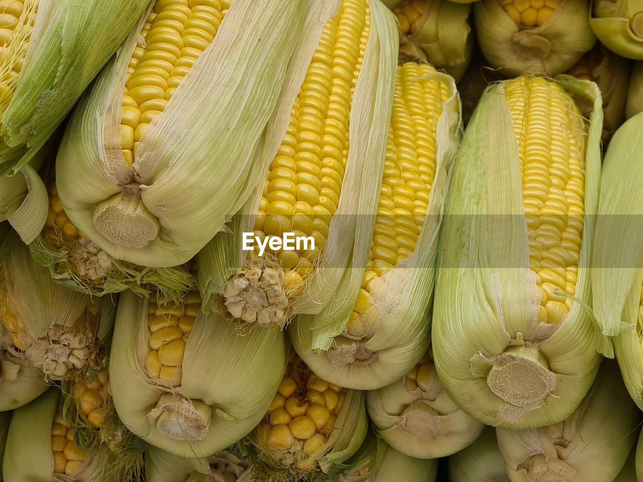 Full frame shot of vegetables for sale at market stall