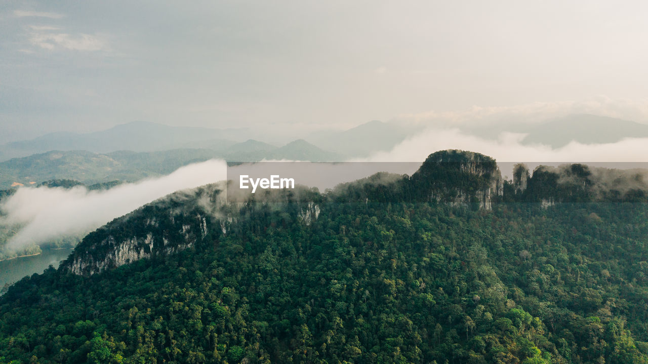 Scenic view of forest against sky