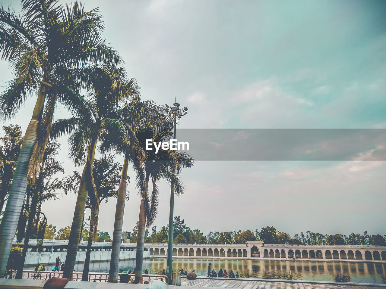 Low angle view of palm trees and building against sky