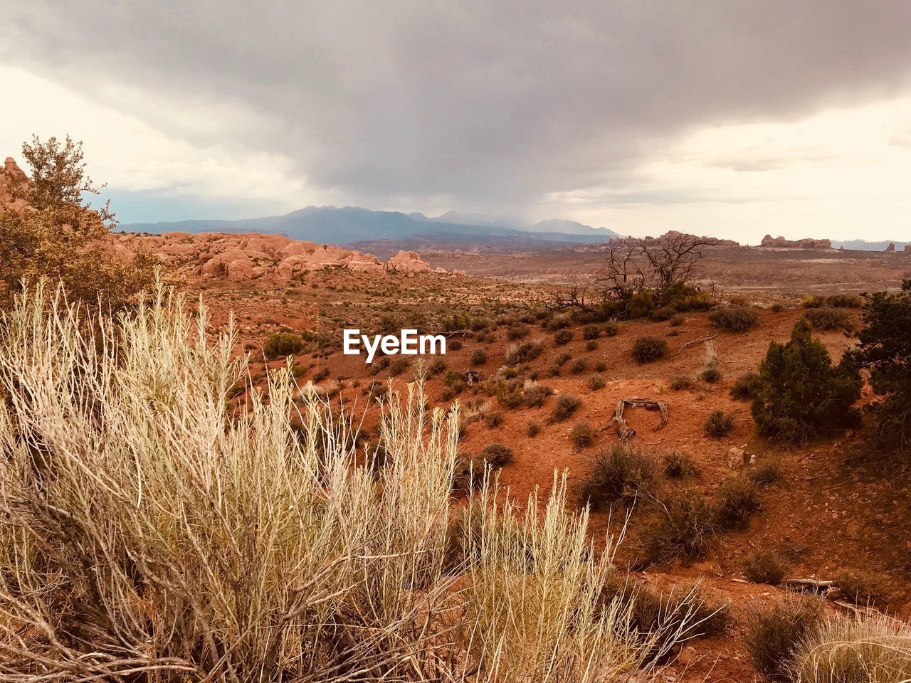 VIEW OF LANDSCAPE AGAINST SKY