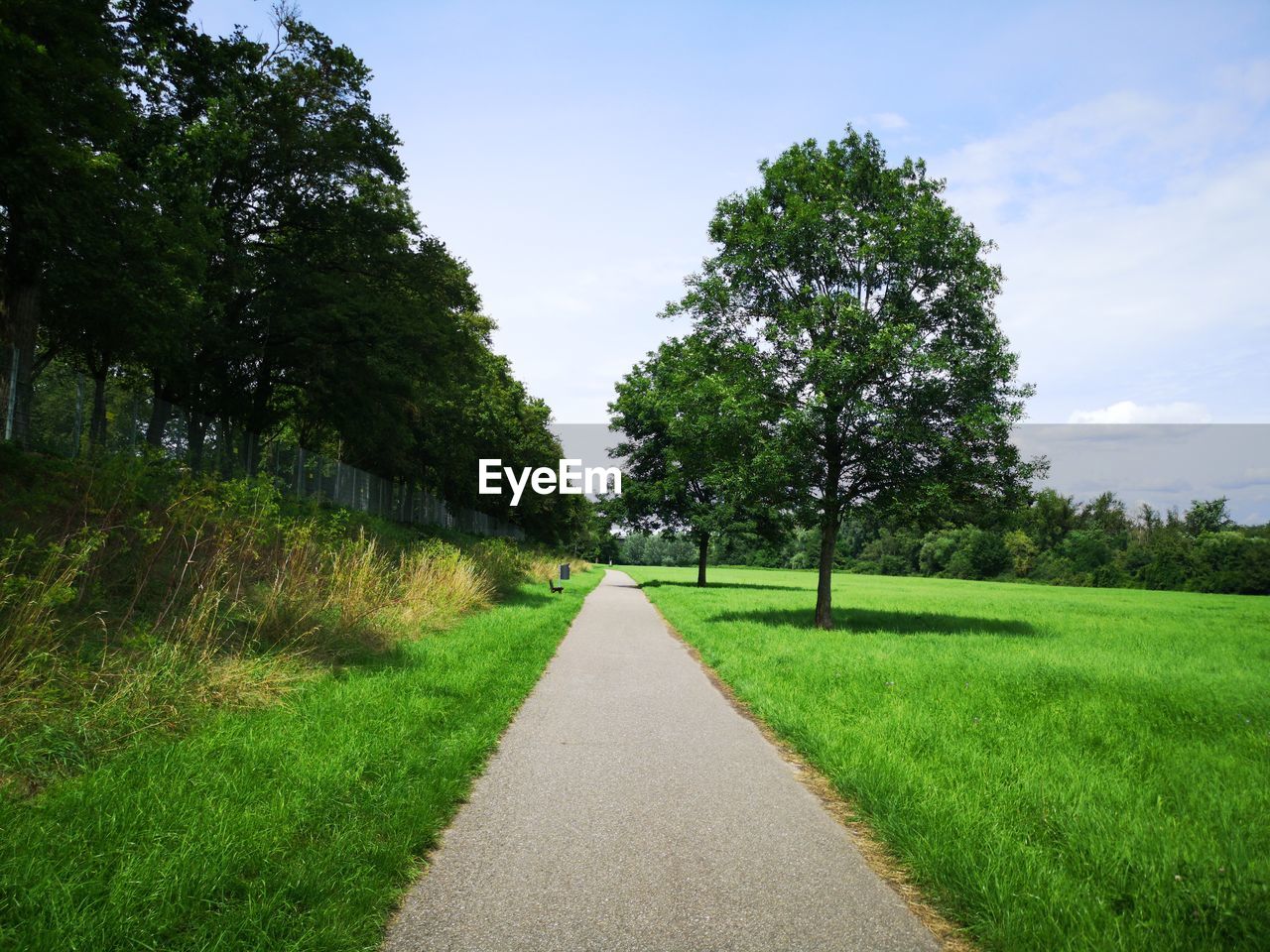 EMPTY ROAD AMIDST TREES ON FIELD