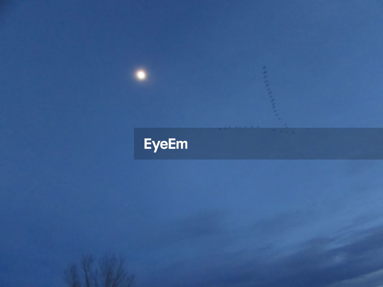 LOW ANGLE VIEW OF MOON IN SKY