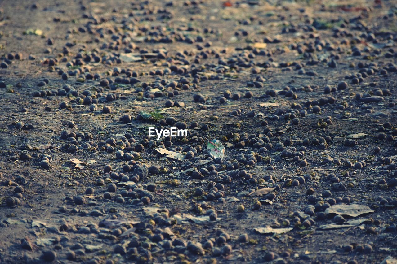 Full frame shot of rocks on field