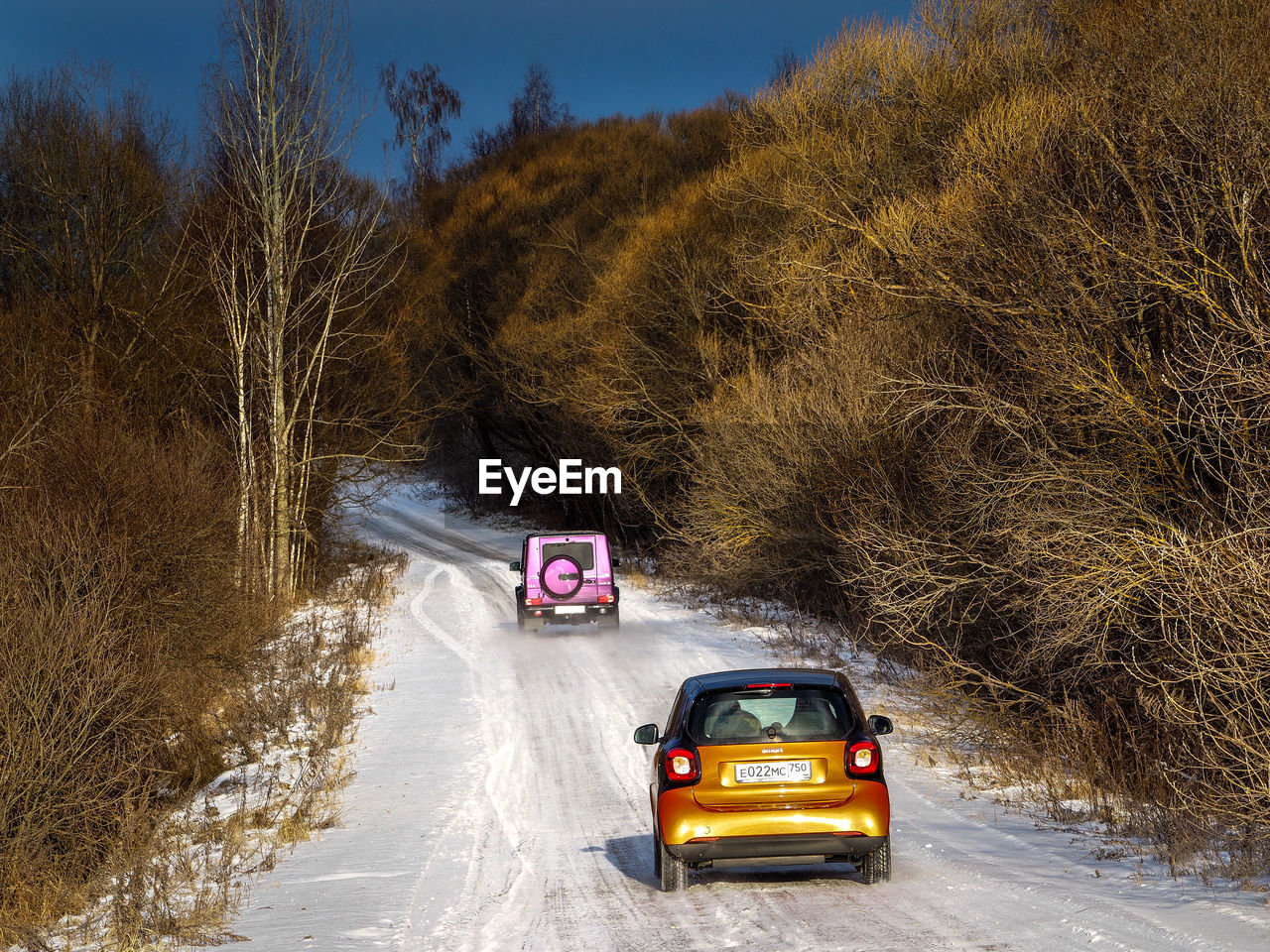 Cars moving on snow covered road amidst bare trees