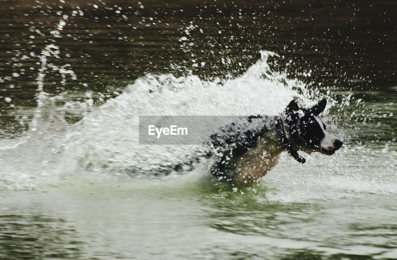 WAVES SPLASHING IN WATER