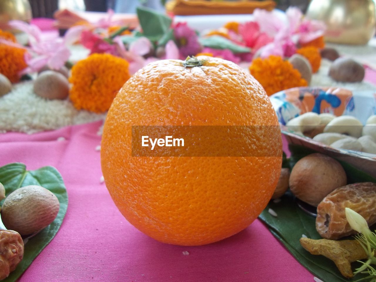 Close-up of oranges