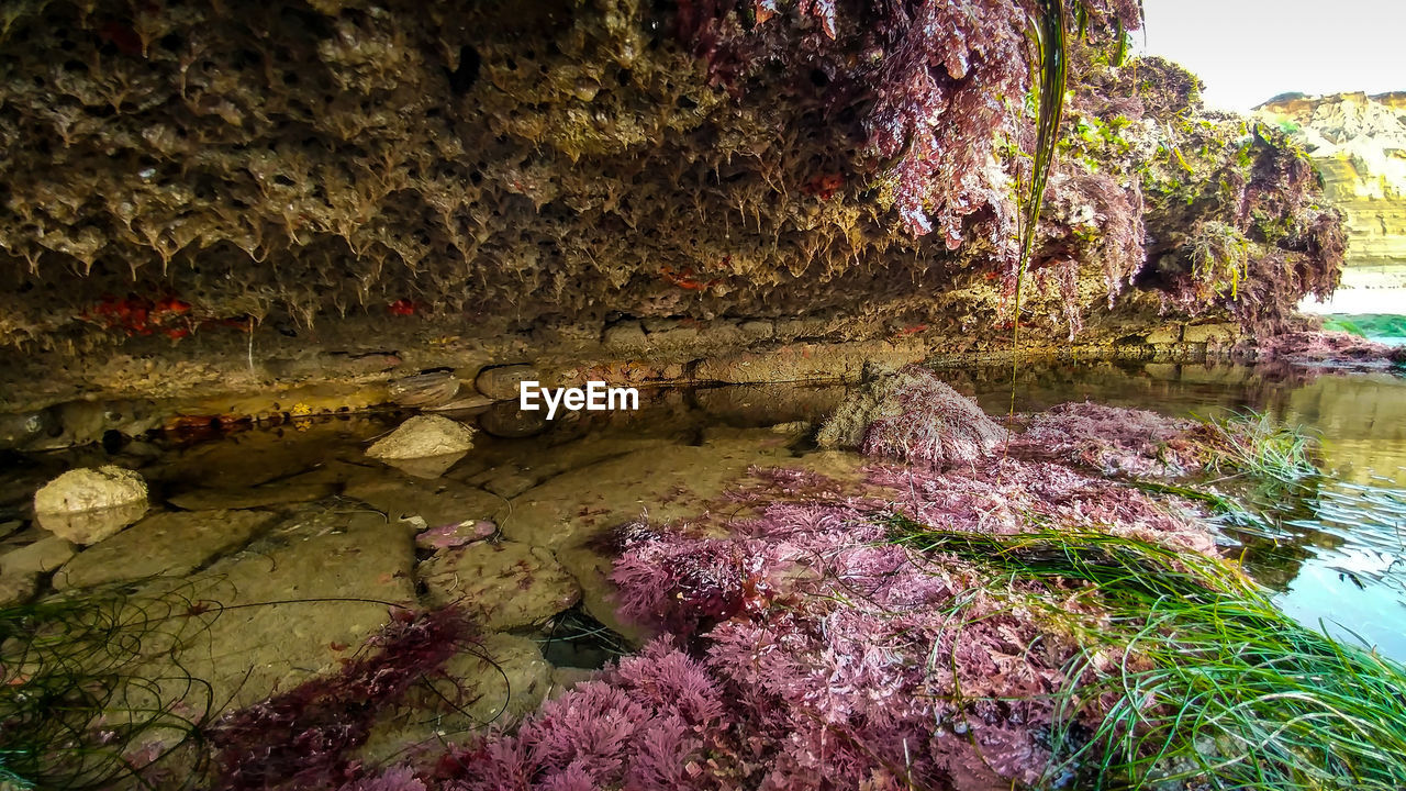 SCENIC VIEW OF CAVE