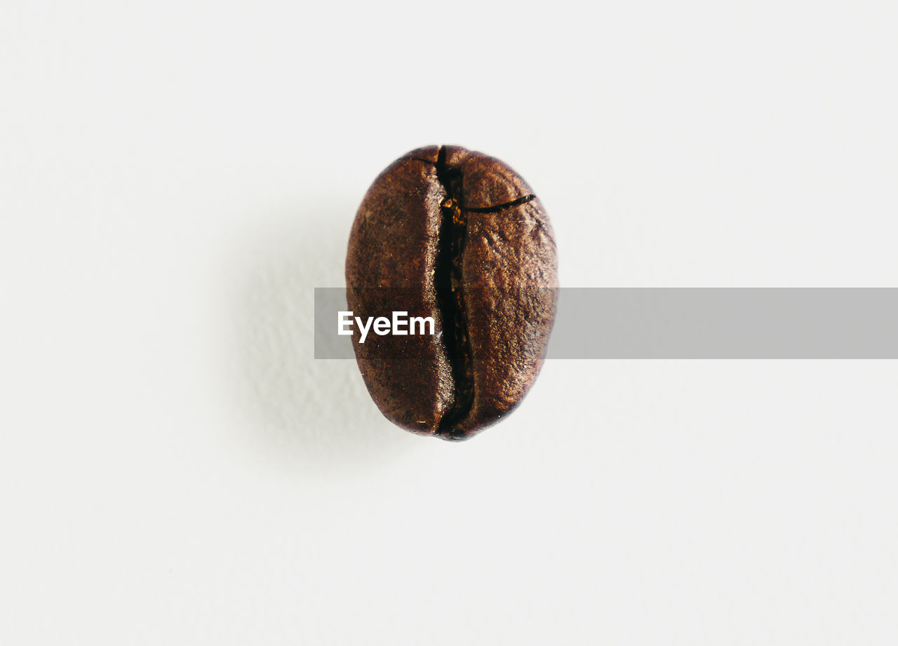 Directly above shot of coffee beans against white background