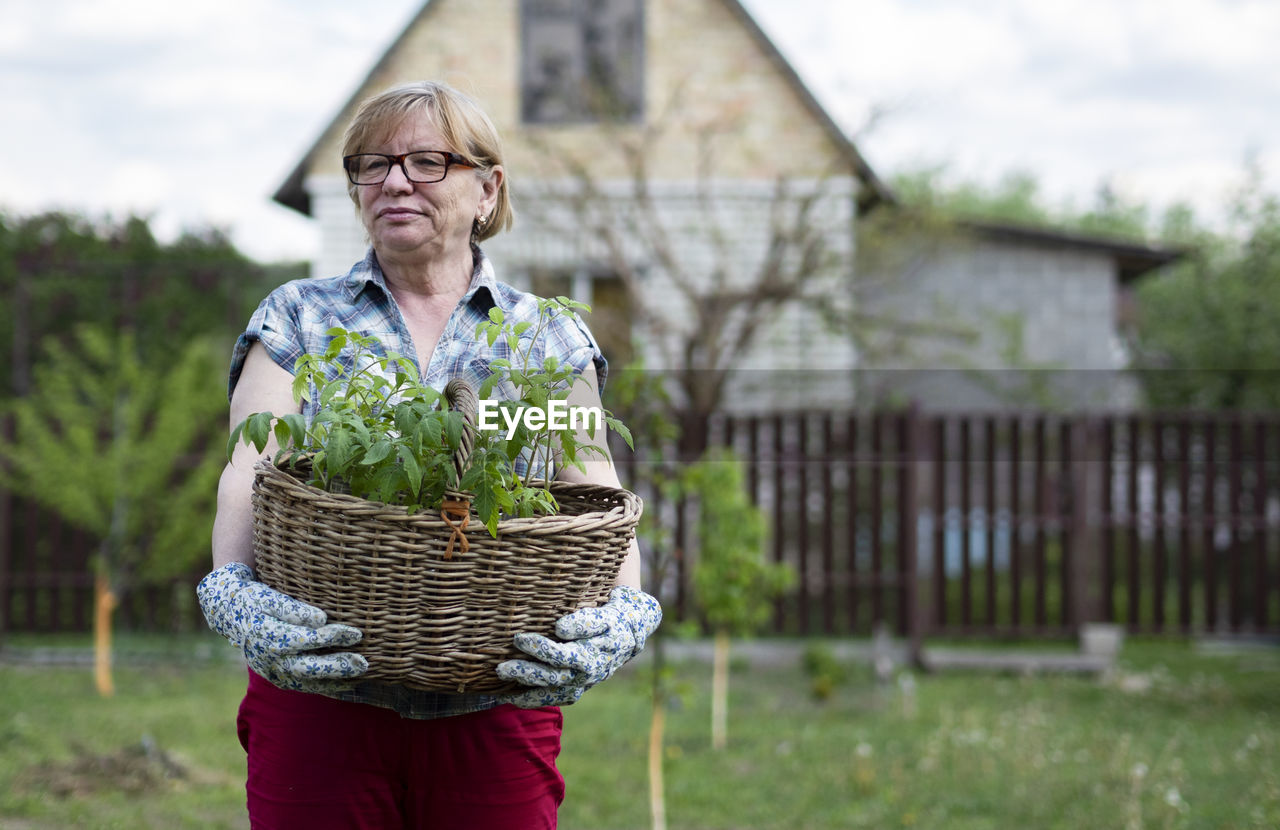 Senior caucasian woman holding a basket with tomato seedlings in the garden of a country house