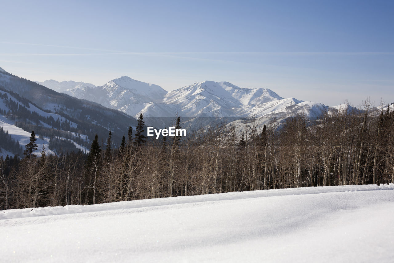 Beautiful snowy mountains and forest in brighton, utah, usa