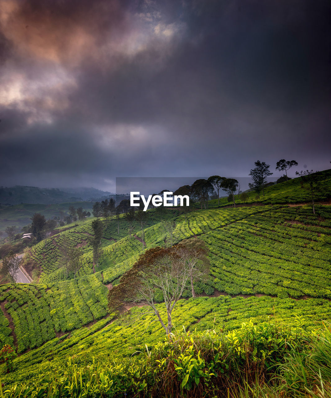 SCENIC VIEW OF FARM AGAINST SKY