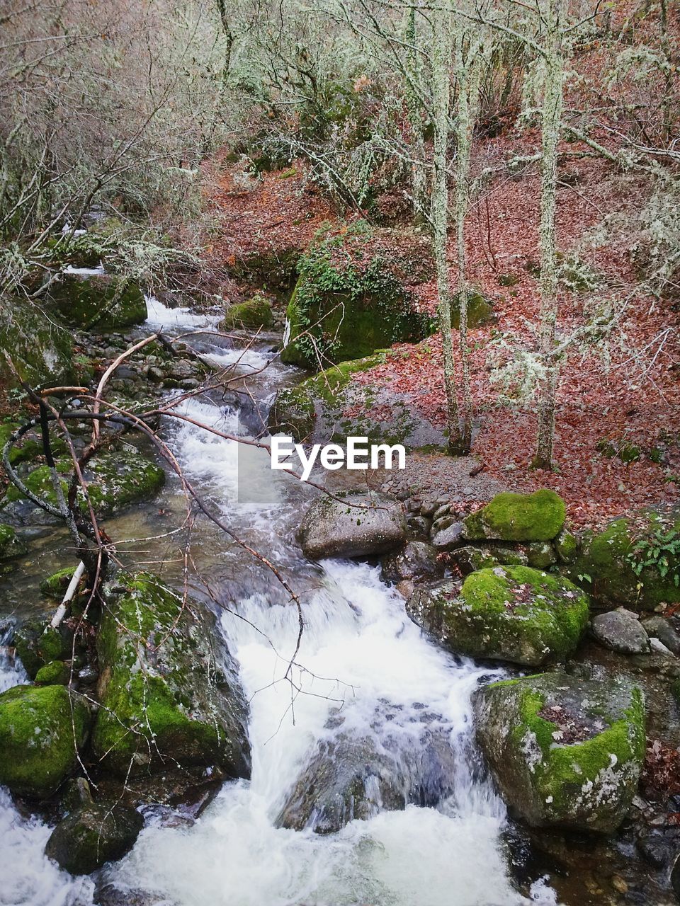 WATER FLOWING THROUGH ROCKS