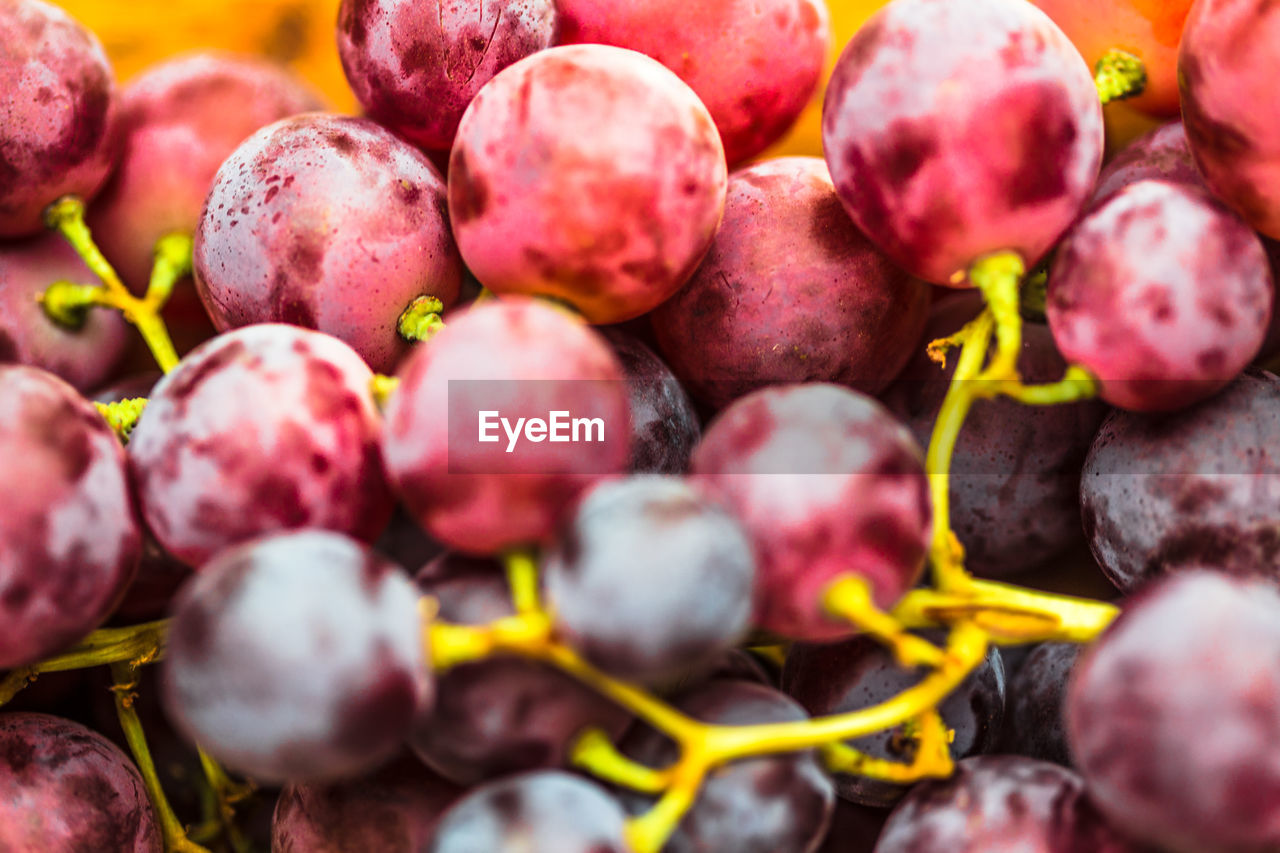 Close-up of red grapes