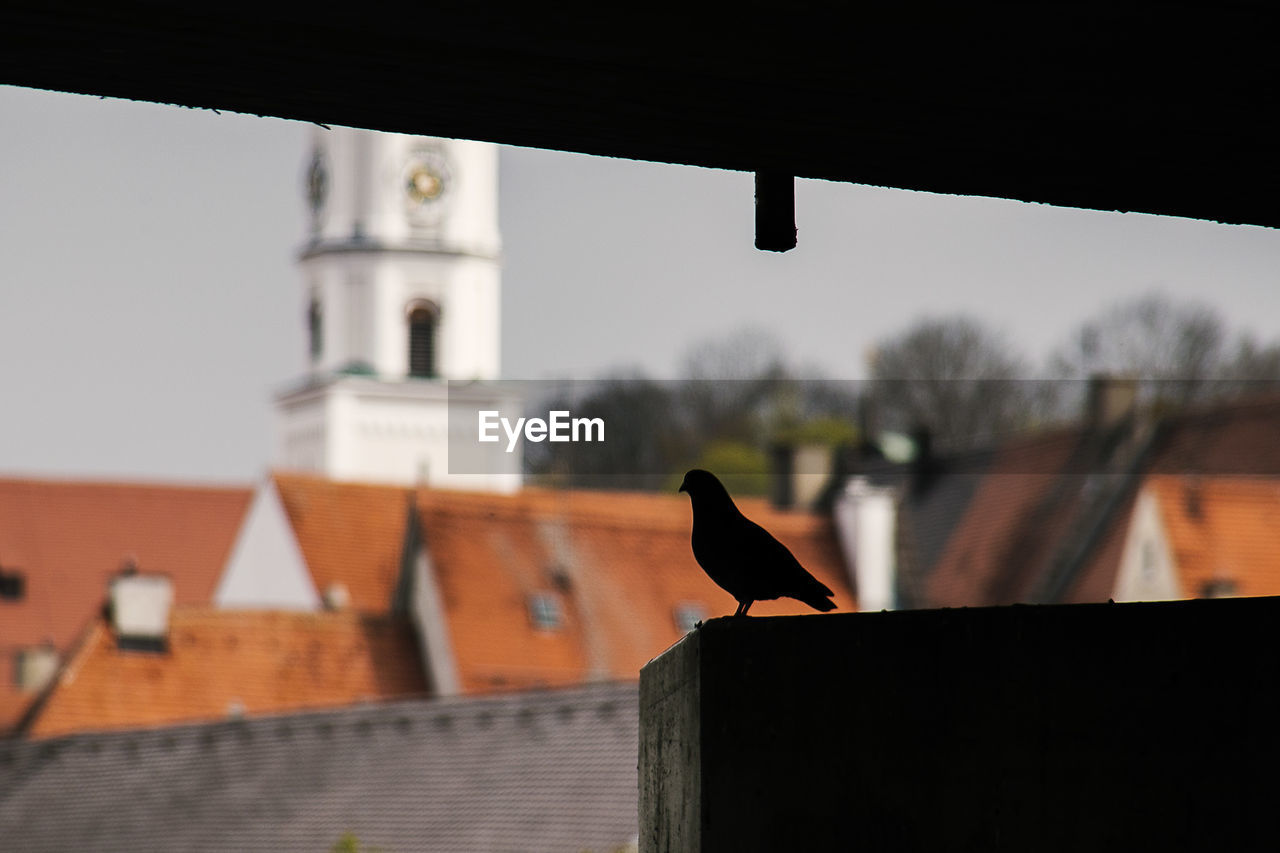 BIRD PERCHING ON ROOF AGAINST SKY