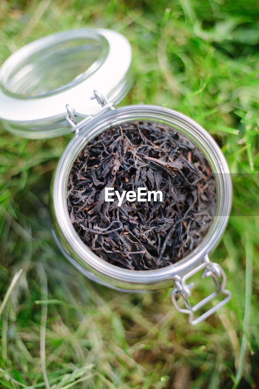 High angle view of plants in jar on field