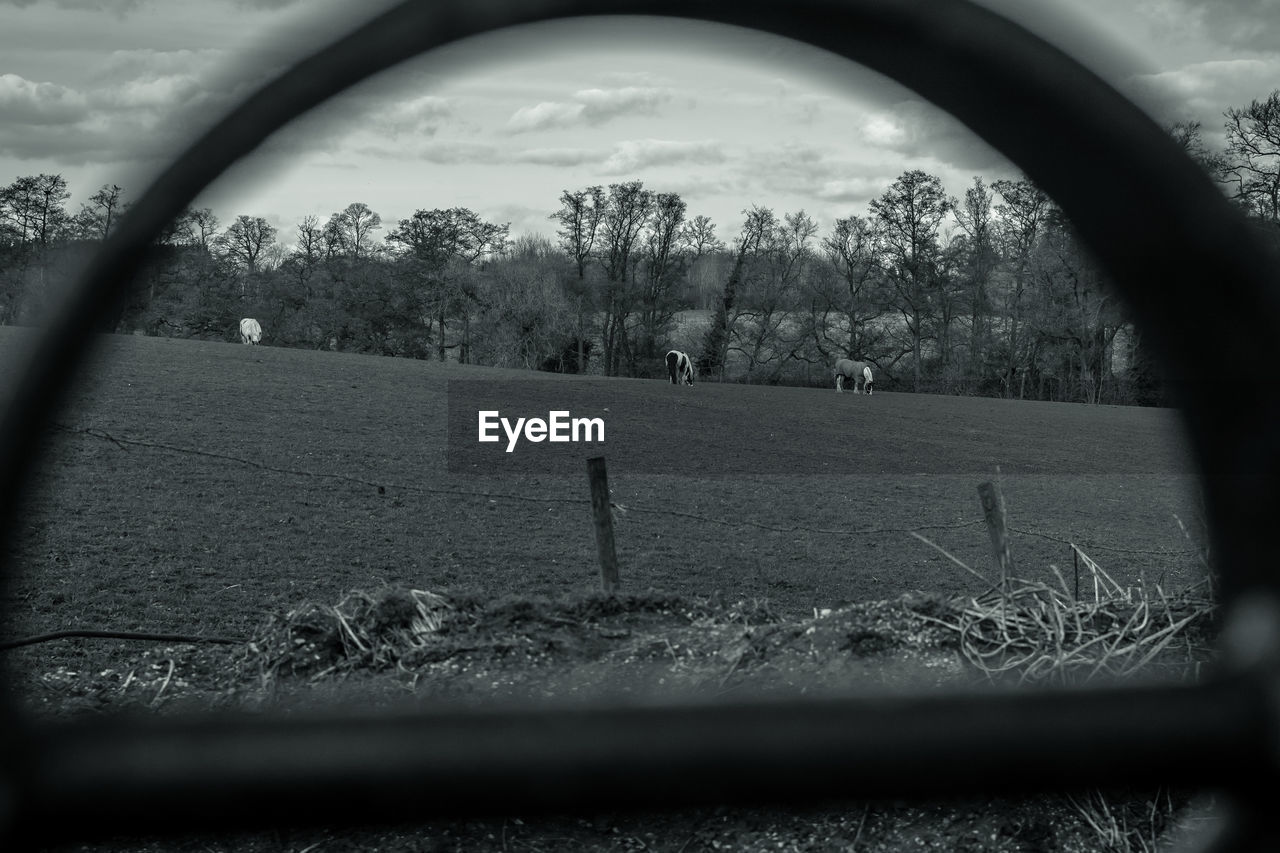 Horses grazing on field seen through fence