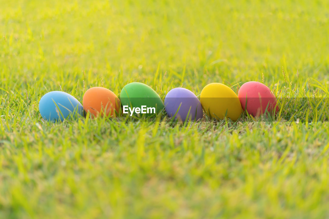 easter, multi colored, celebration, grass, tradition, egg, holiday, easter egg, plant, springtime, green, selective focus, no people, nature, yellow, food, lawn, vibrant color, event, food and drink, outdoors, close-up, group of objects, field, environment, landscape