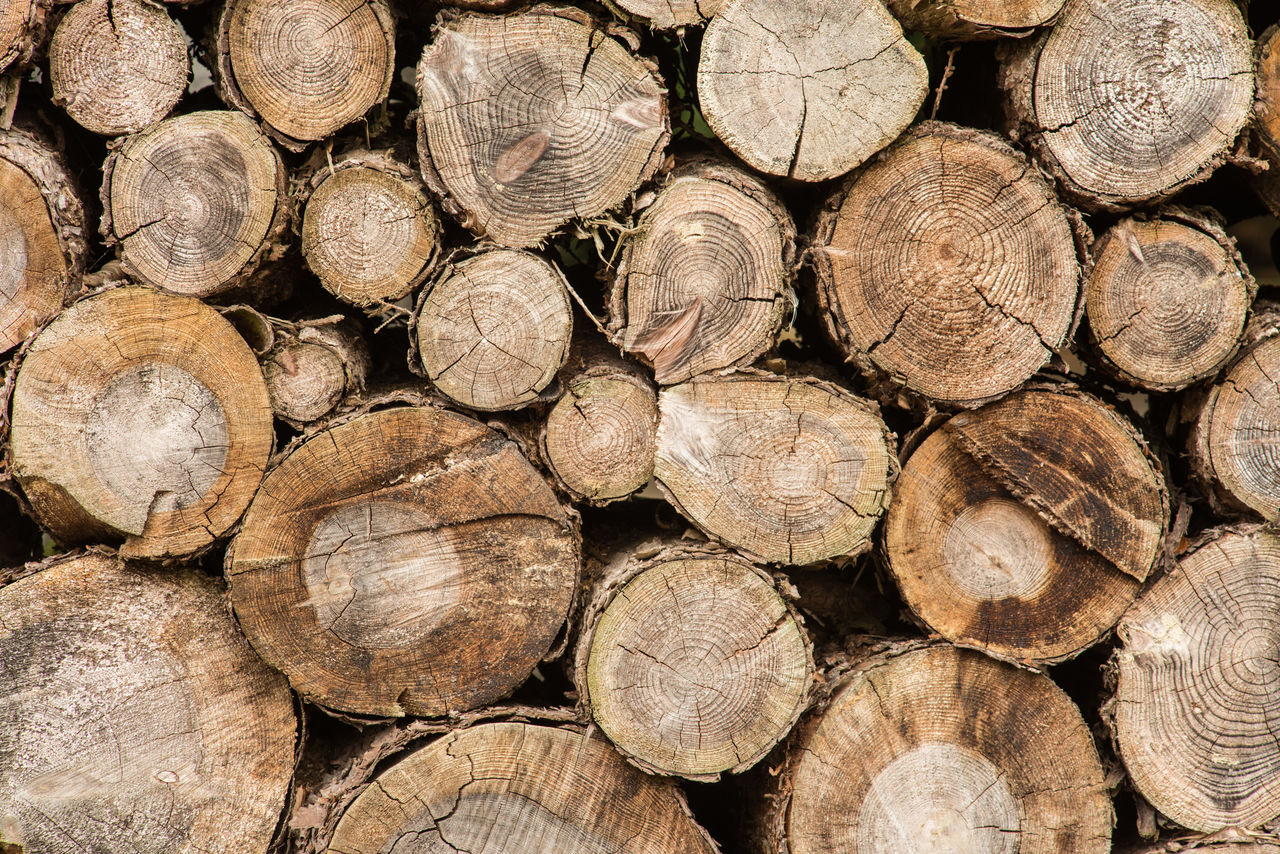 FULL FRAME SHOT OF LOGS IN FIREWOOD