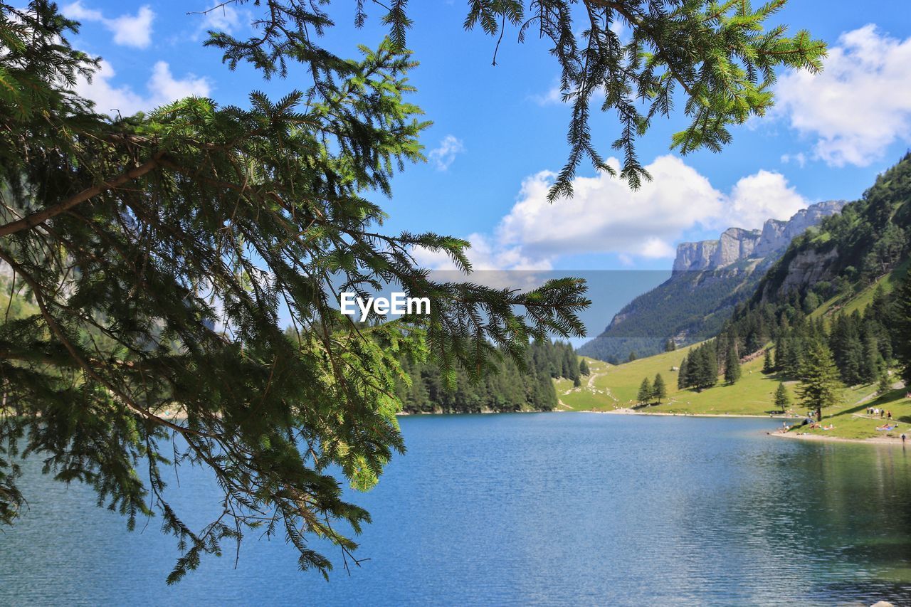 Scenic view of lake by trees against sky