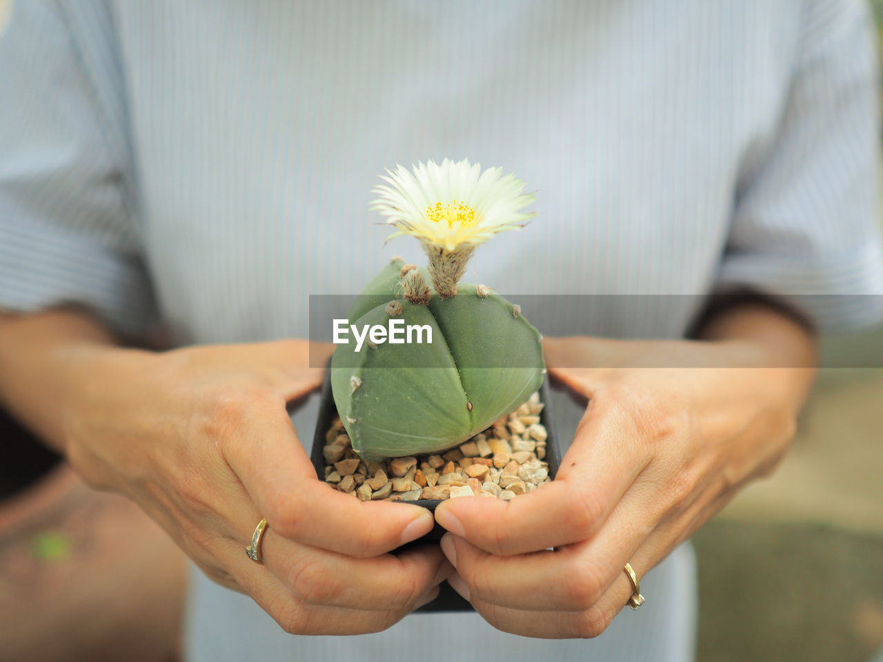 Midsection of woman holding flower on field