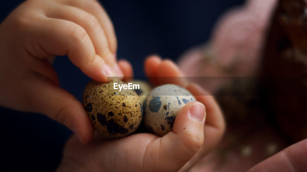 Cropped hand of person holding egg