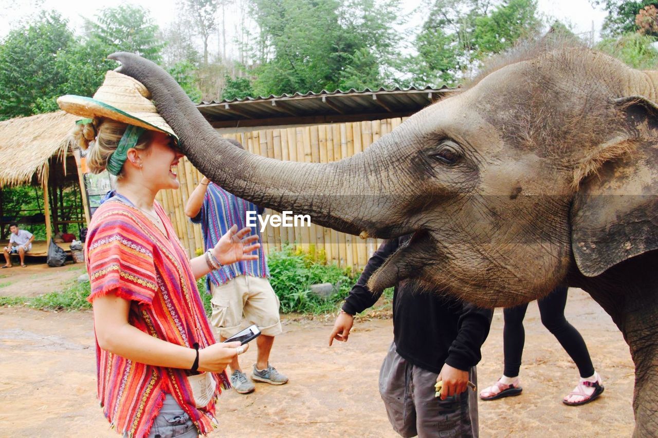 Side view of happy woman playing with elephant