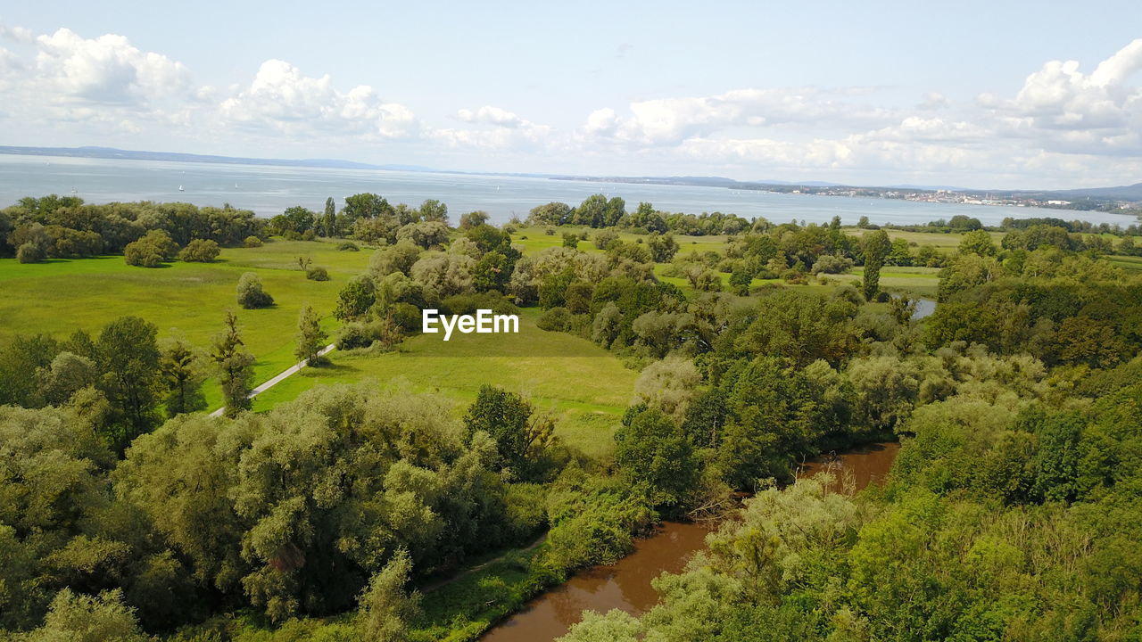 Scenic view of trees on field against sky