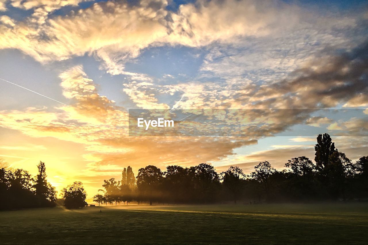 Silhouette trees growing on field against cloudy sky during sunset