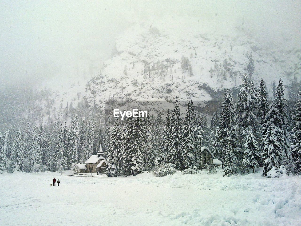 Scenic view of snow covered tourist resorts and coniferous trees