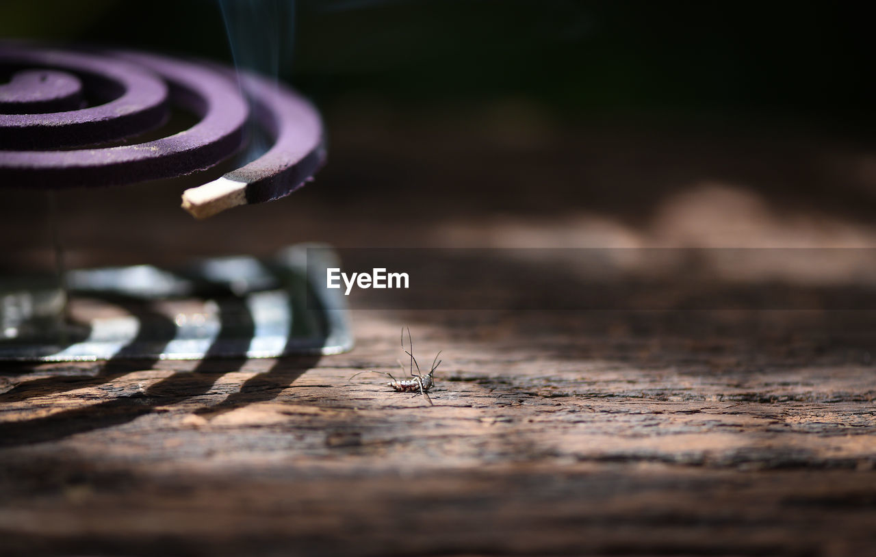 High angle view of mosquito coil on table