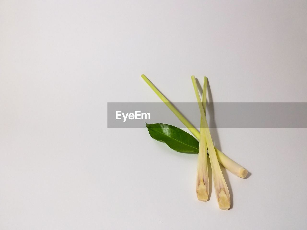 Close-up of lemon grass and bay leaf against white background