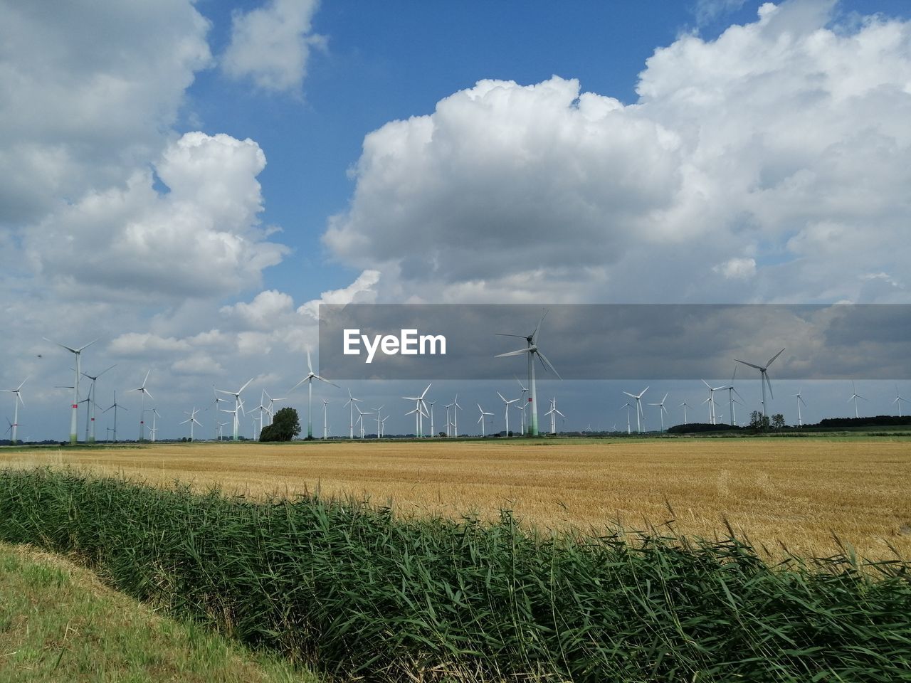 Windmills on field against sky