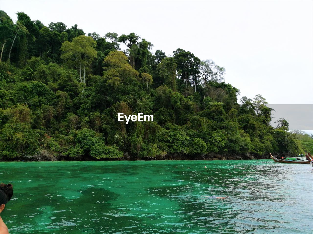 SCENIC VIEW OF SEA AGAINST TREES AND CLEAR SKY