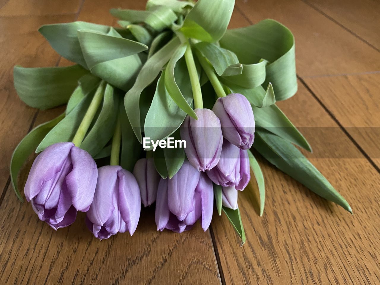 High angle view of purple flower on table